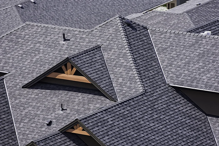 SHINGLE Görsel 5