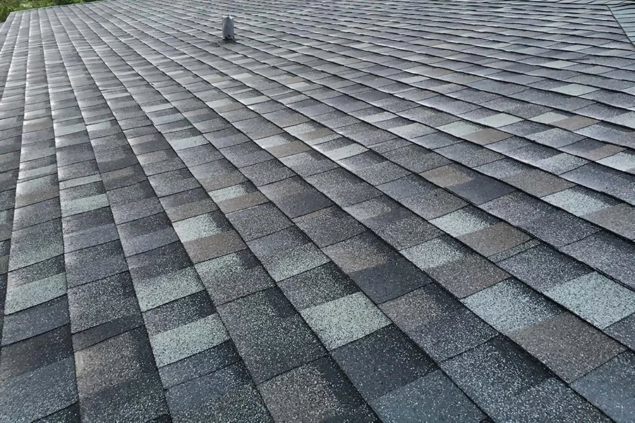 SHINGLE Görsel 4